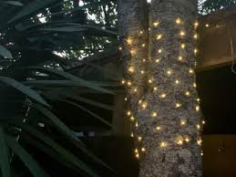Save On Fairy Lights Lights