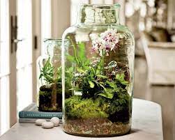 How To Make A Terrarium