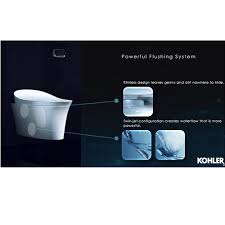 veil wall hung intelligent toilet bowl