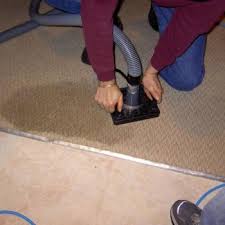 carpet upholstery mattress cleaning