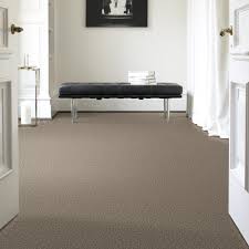nutria textured indoor carpet at lowes