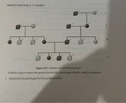 the genotypes for this pedigree chart