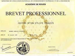 Languages french native or bilingual proficiency english. Bp Coiffure 2017 Sujet
