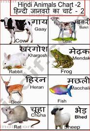 Godgift Animal Name In Hindi And English With Photo