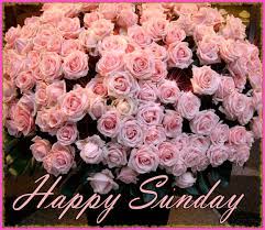good morning sunday pink rose bouquet
