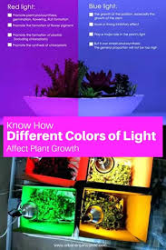 color of light affect plant growth