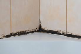 prevent mold and mildew in shower caulk