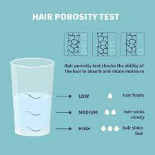 what is hair porosity and how to