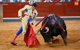 Eso que hace Emilio de Justo, eso es el toreo - SALAMANCArtv AL DÍA -  Noticias de Salamanca