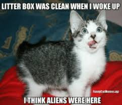 I don't own these clips.#bongocat #bongocatmeme #meme #memes #bongocatmemes20 minutes of the most fire. New Cat Memes Clean Memes Funny Memes Funny Cat Memes