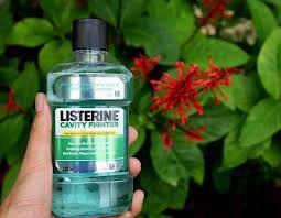 amazing listerine uses in garden that