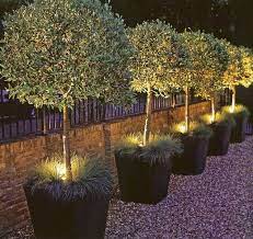 planter lighting idea love garden