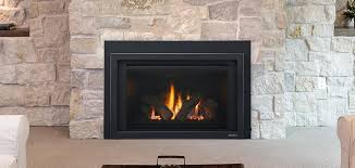 Gas Fireplace Insert