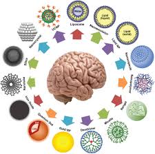 Image result for neuroscience