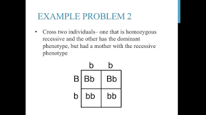 This genetic trait is an example of a completely dominant trait where an animal needs just one copy of the polled gene in order to show the polled. Punnett Square Practice Problems Simple Youtube