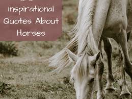 Through the sleet, through the snow, they just keep going. Inspirational Horse Quotes From Famous Historical Equestrians Pethelpful
