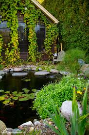 See How A Koi Pond Creates The Ultimate
