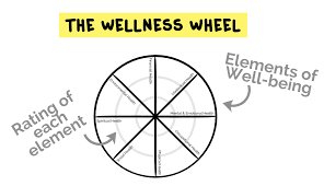wellness basics the wellness wheel