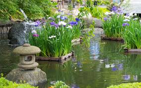 Zen Garden In The British Climate