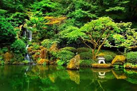 japanese zen lake botanical garden feng