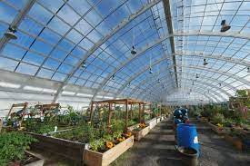 Inside The Arctic Greenhouses Where The