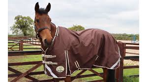 best lightweight turnout rugs for