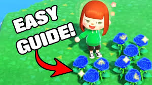 how to get blue roses step by step