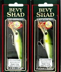 4 Lucky Craft Made Japan Bevy Shad 75sp S Suspending 3
