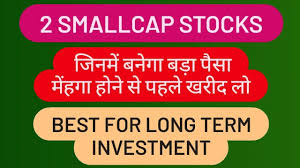 2 smallcap stocks best for long term