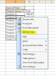 update a pivot table in excel 2003