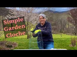 simple diy garden cloche gardening
