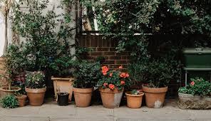 Our Favourite Courtyard Garden Ideas