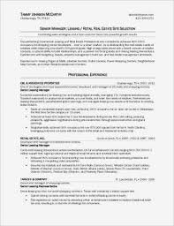 Real Estate Agent Job Description For Resume Pdf Format