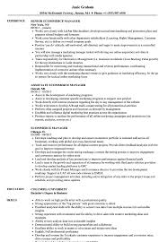 Do this effectively in your hospitality curriculum vitae and you will vastly increase your chances of being invited to a job interview. Ecommerce Manager Resume Samples Velvet Jobs