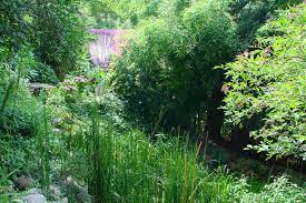 Le Jardin Des Sambucs A Lovely Garden