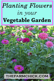Planting Flowers In Your Vegetable Garden