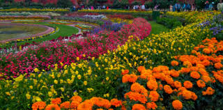 mughal garden ticket booking