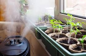Follow our instructions above with the wire hanger a humidifier turns water into a mist that increases the humidity levels in the room. How To Increase Humidity In Grow Tent Here S The Answer
