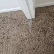 gold coast carpet care carpet