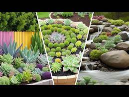10 Outdoor Succulent Garden Ideas 2044