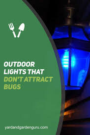 outdoor lights that don t attract bugs