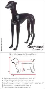 Dog Mannequin Dog Mannequin Greyhound Buy Dog Mannequin Product On Alibaba Com
