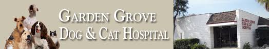 garden grove dog cat hospital