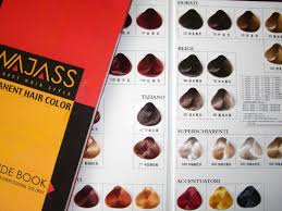 Hair Color Guide Book Tradekorea