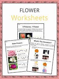 flower facts worksheets types