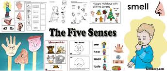My Five Senses Preschool Activities Lessons And Printables