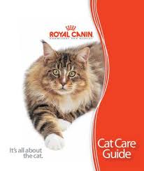 Royal Canin Cat Care Guide By Royal Canin Usa Issuu