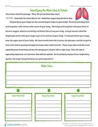 How do the details in the passage support the central idea? Identifying The Main Idea Details Worksheet Education Com