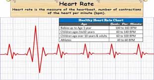 What Is A Heart Rate Or Pulse Rate Number Of Time Heart