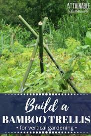 Bamboo Trellis For Your Garden